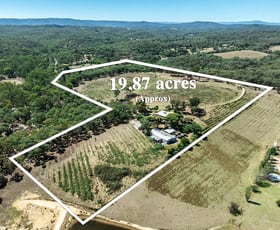 Development / Land commercial property for sale at 1420 Heidelberg-Kinglake Road Cottles Bridge VIC 3099