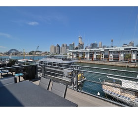 Offices commercial property leased at Pyrmont NSW 2009
