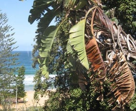 Shop & Retail commercial property leased at Shop 2/231 Whale Beach Road Whale Beach NSW 2107