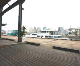 Offices commercial property leased at Pyrmont NSW 2009