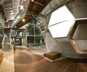 Offices commercial property leased at Brookvale NSW 2100