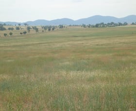 Rural / Farming commercial property sold at 341 Oxley lane Tamworth NSW 2340