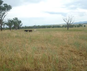 Rural / Farming commercial property sold at 341 Oxley lane Tamworth NSW 2340