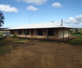 Rural / Farming commercial property leased at 1271 Gorae Road Gorae West VIC 3305