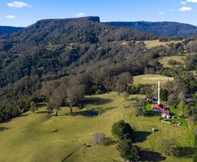 Rural / Farming commercial property for lease at 110 Wattamolla Road Woodhill NSW 2535