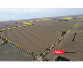 Rural / Farming commercial property leased at 899 Bluff Beach Road Minlaton SA 5575