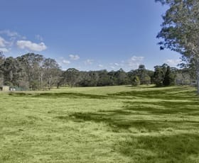 Rural / Farming commercial property leased at 1 Reserve Road Freemans Reach NSW 2756