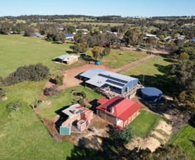 Rural / Farming commercial property for lease at Kojonup WA 6395