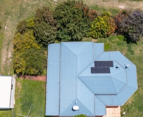 Rural / Farming commercial property for lease at 2216 Ipswich Boonah Road Limestone Ridges QLD 4305