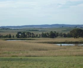 Rural / Farming commercial property sold at 358 Cullulla Road Tarago NSW 2580