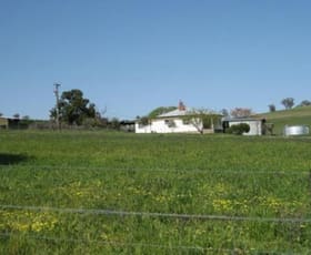Rural / Farming commercial property sold at Cowra NSW 2794 Rural / Farming commercial property sold at Cowra NSW 2794