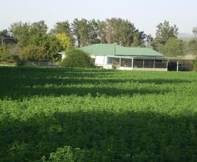 Rural / Farming commercial property sold at Tamworth NSW 2340 Rural / Farming commercial property sold at Tamworth NSW 2340