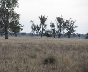 Rural / Farming commercial property sold at . Lot 3 Wambianna Road Warren NSW 2824