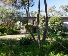 Rural / Farming commercial property sold at 50708 South Coast Highway Youngs Siding WA 6330