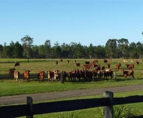 Rural / Farming commercial property sold at Whiporie NSW 2469