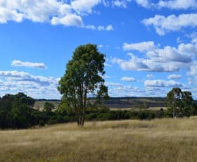 Rural / Farming commercial property sold at Lot 7 Sandy Point Road Windellama NSW 2580