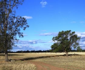 Rural / Farming commercial property sold at Lot 66 Condamine Highway Condamine QLD 4416