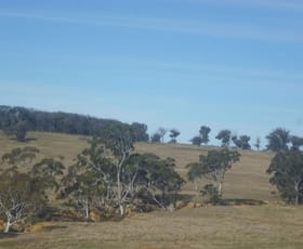 Rural / Farming commercial property sold at 250 Coolabah Road Bungonia NSW 2580