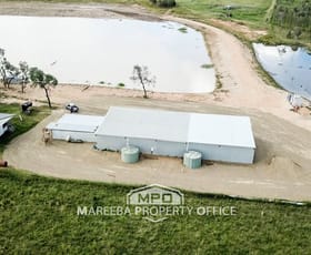 Rural / Farming commercial property for sale at 592 Leadingham Creek Road Dimbulah QLD 4872