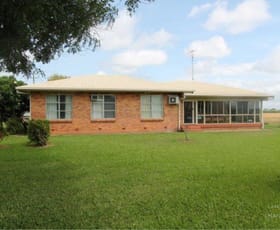 Rural / Farming commercial property for sale at 16 Ayr-Dalbeg Road Mcdesme QLD 4807
