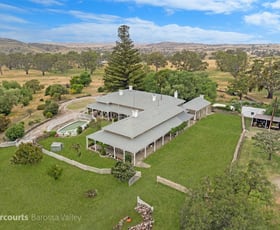 Rural / Farming commercial property sold at 304 Rushlea Road Eden Valley SA 5235