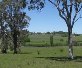 Rural / Farming commercial property for sale at 267 Long Swamp Road Armidale NSW 2350