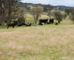 Rural / Farming commercial property sold at 510 Hilltop Lane Garland NSW 2797