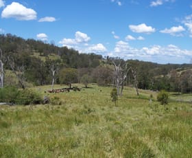 Rural / Farming commercial property sold at 1 Razorback Creek Road Rivertree NSW 2372 Rural / Farming commercial property sold at 1 Razorback Creek Road Rivertree NSW 2372