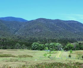 Rural / Farming commercial property sold at 520 Yankees Gap Road Bemboka NSW 2550