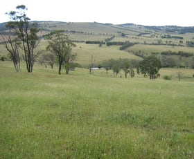 Rural / Farming commercial property sold at Moona Plains Rd Walcha NSW 2354