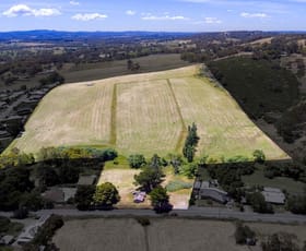 Rural / Farming commercial property sold at 105 Mawson Road Meadows SA 5201