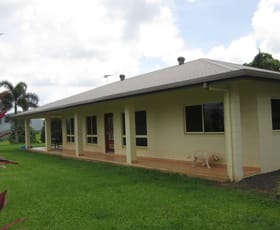 Rural / Farming commercial property sold at 571 Dunne Road Nerada QLD 4860