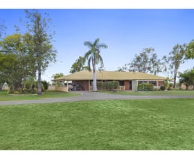 Rural / Farming commercial property sold at 68 Greens Road Alton Downs QLD 4702