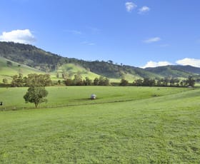 Rural / Farming commercial property sold at 210 Glencoe Road Rouchel NSW 2336