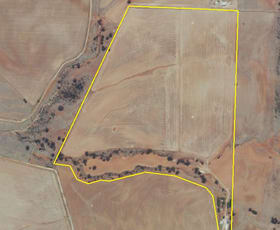 Rural / Farming commercial property sold at 87 Gunders Hill View Hornsdale SA 5491