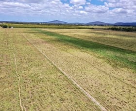 Rural / Farming commercial property for sale at Horseshoe Lagoon QLD 4809