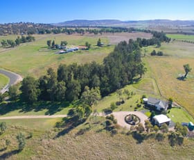 Rural / Farming commercial property sold at 287 Warrah Creek Road Willow Tree NSW 2339