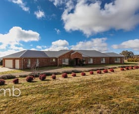 Rural / Farming commercial property sold at 22 Nicholls Lane Huntley NSW 2800