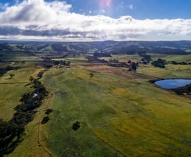 Rural / Farming commercial property sold at 128 Hammond Road Hindmarsh Tiers SA 5202