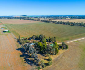 Rural / Farming commercial property sold at 165 Pengillys Lane Eugowra NSW 2806