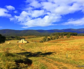 Rural / Farming commercial property sold at 1048 Charleys Forest Road Mongarlowe NSW 2622