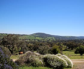 Rural / Farming commercial property sold at 90 Power Street Tumbarumba NSW 2653