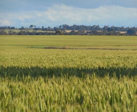 Rural / Farming commercial property sold at 471 Sorrento Rd Broomehill WA 6318