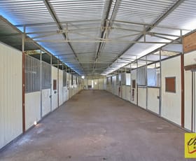 Rural / Farming commercial property sold at 271 Oaks Road Thirlmere NSW 2572