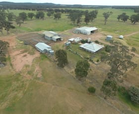 Rural / Farming commercial property sold at 413 BROWNES LANE Axedale VIC 3551