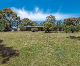 Rural / Farming commercial property sold at 598 Springfield Road Springfield VIC 3434