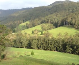 Rural / Farming commercial property sold at 205 Gerringong Creek Road Kangaroo Valley NSW 2577
