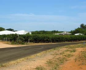 Rural / Farming commercial property sold at 470 Cooltong Avenue Cooltong SA 5341