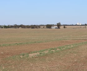 Rural / Farming commercial property sold at 10251 Mallee Highway Lameroo SA 5302