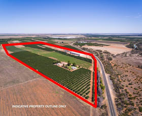 Rural / Farming commercial property sold at 2204 Kulkyne Way Iraak VIC 3494